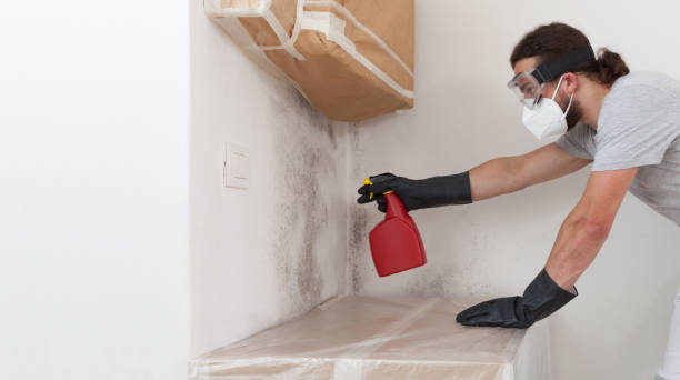 Professional Mold Inspection And Testing technician working in Pottersdale, PA