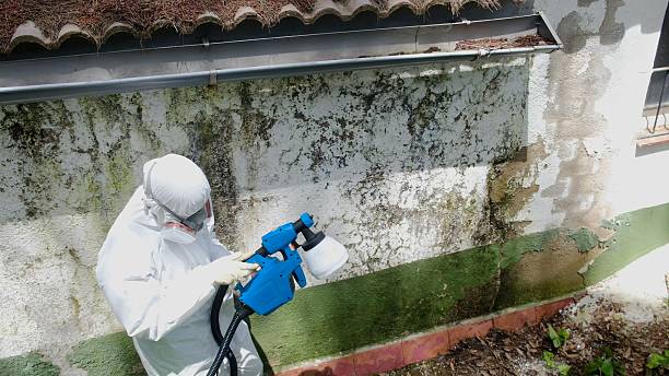 Top rated local Mold Inspection And Testing specialists in Pottersdale, PA
